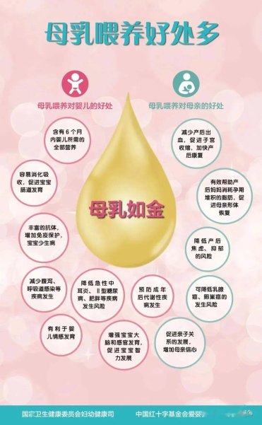 回归本能的母乳喂养(图6)