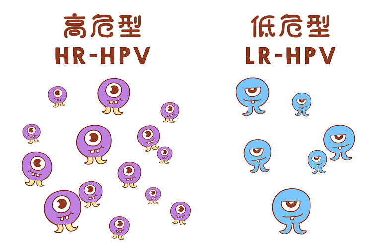 守“宫”有道 | HPV疫苗的自述(图4)