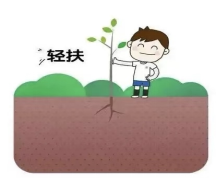 1-25050QQA3447.png