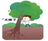 1-25050QQAb46.png