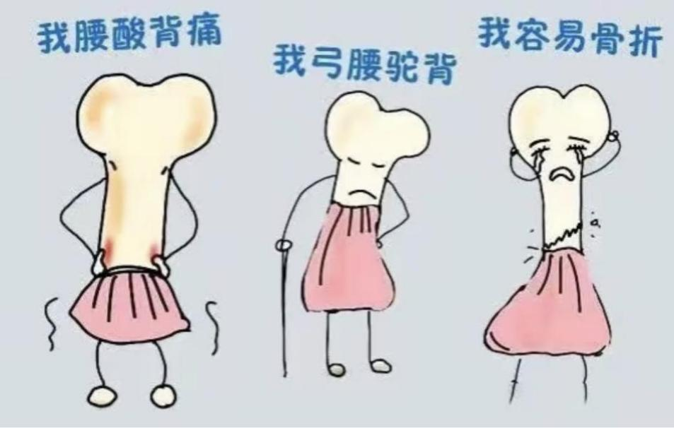 1-2510310ST5S6.png 1-2510310ST5S6.png